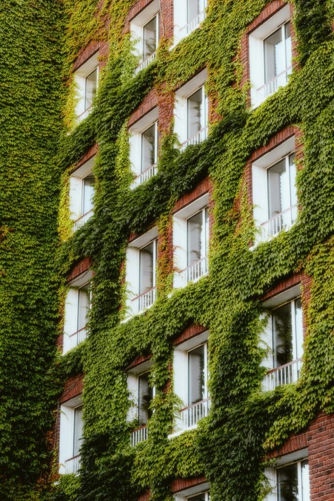 A residential building in London showcasing vibrant greenery, ideal for property management and holiday lets agency. MX Lettings Property Managers London
