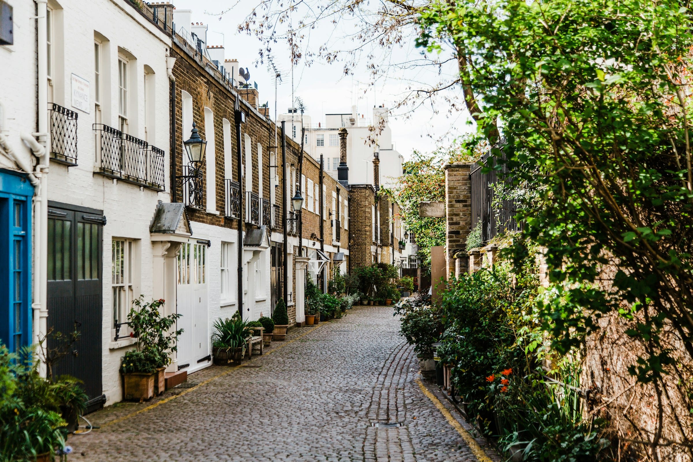 Charming residential street in London showcasing properties ideal for holiday lets and residential lettings. MX Lettings Property Managers London